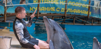 Нижегородский дельфинарий, Нижний Новгород