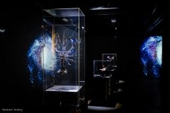 Ottepel Gallery