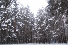 "Седова Заимка"