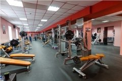 Elite Fitness