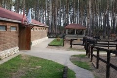 КСК "Пегас", конноспортивный клуб в Дракино