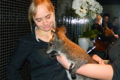Zoovest.ru