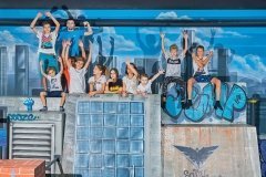 "Территория активности FlyZone"