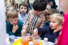Сумасшедшая наука, заказ научного шоу