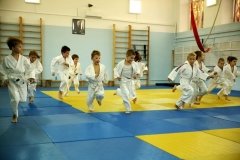 СДЮСШОР по дзюдо МГФСО, Фрунзенская