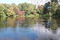 Ботанический сад БФУ