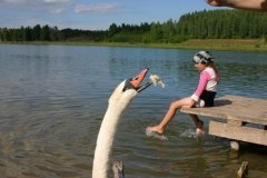 "Русская земля" в Изборске