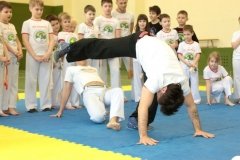 "Федерация капоэйра России"
