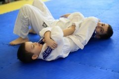 "Федерация капоэйра России"