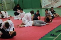 "Федерация капоэйра России"