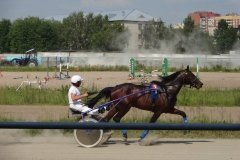 Тюменский ипподром