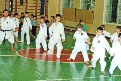 Anshinkai ("Аншинкай"), клуб каратэ