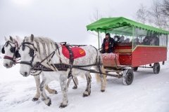 "Контактная Деревня"