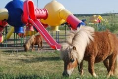 Family Park