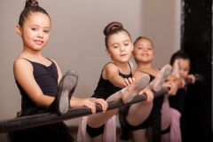 AcroPeople