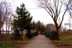Рождественский парк