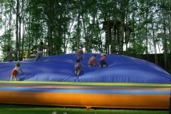 "Дикие белки" в Оксино