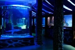 "Сочинский аквариум", аквариум и морской зоопарк на Новой Мацесте