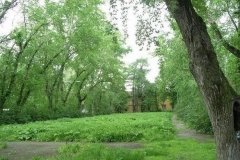 Сад Вайнера