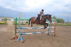 "Серебряная подкова", детско-юношеская конноспортивная школа, КСК в Красном Яре