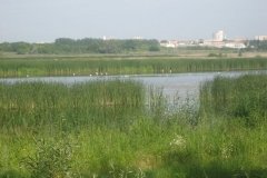 "Птичья гавань", природный парк