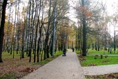 "Северные Дубки"