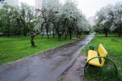 "Плодовый сад"