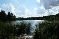 "Покровское-Стрешнево", природно-исторический парк