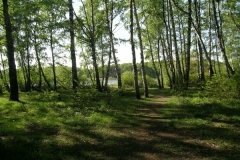 "Косинский", природно-исторический парк