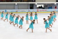 СДЮСШОР по ледовым видам спорта