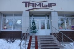 "Тамыр"