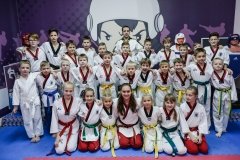 Школа Боевых Искусств Антона Несветаева