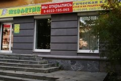 "Жевастик" на Гагарина