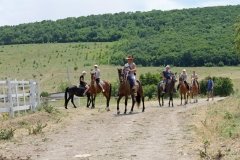 "Золотая шпора"