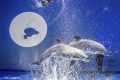 Океанариум Екатеринбурга