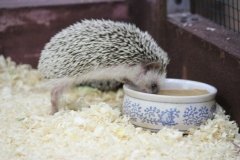"Мой маленький мир" в Тушино