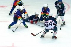 Муниципальный детский центр хоккея и фигурного катания в Одинцово