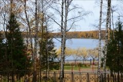 "Берёзовая роща"