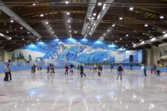 "Каток.Ру" в поселке Горки-2