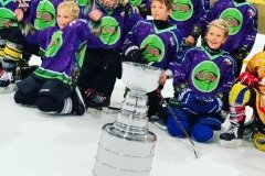 Ice Hockey Pro
