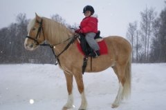 Феникс, конный клуб, дер. Фоминское