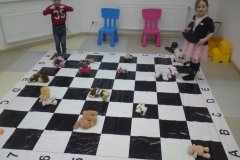 "Шахматное искусство", спортивная секция