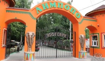 Зоопарк, батут и детский поезд в "Лимпопо"