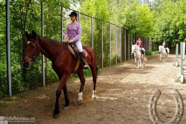 "Золотая подкова", конный клуб, верховая езда для детей в Кузьминках, Москва