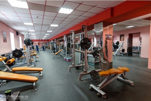 Elite Fitness, фитнес-центр для взрослых и детей, Новосибирск