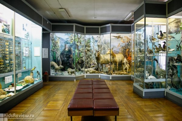 Музей истории Арсеньева, Приморский край
