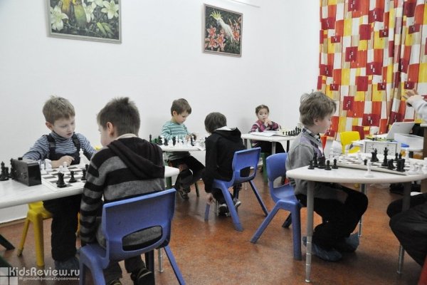 "Лабиринты шахмат", шахматная школа для детей на Волжском бульваре в Москве