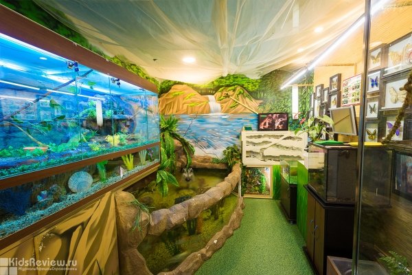 "Зоомир", интерактивная образовательная площадка для детей, контактный мини-зоопарак в мультицентре "Арлекин", Хабаровск