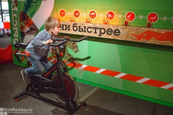 "Ньютон Парк", интерактивный музей науки, научные шоу, Красноярск