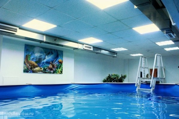 "Дельфин", аквацентр, детский бассейн, плавание для детей на улице Владимира Невского, Воронеж